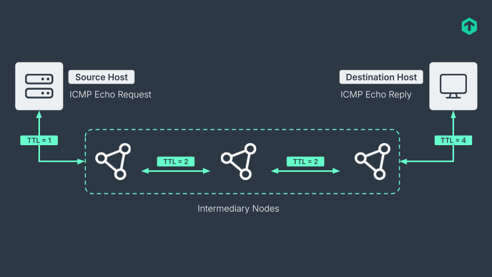 Ping and Traceroute commands